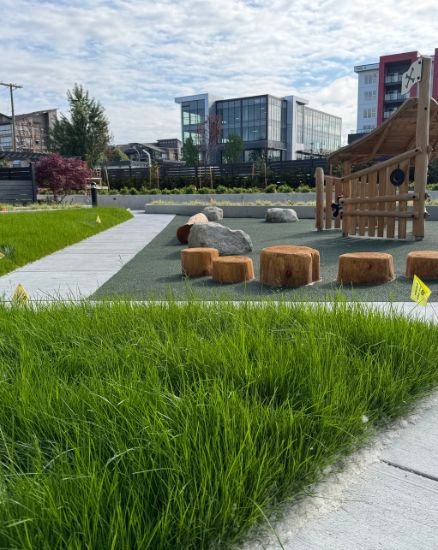 The Hive at Willoughby Town Centre