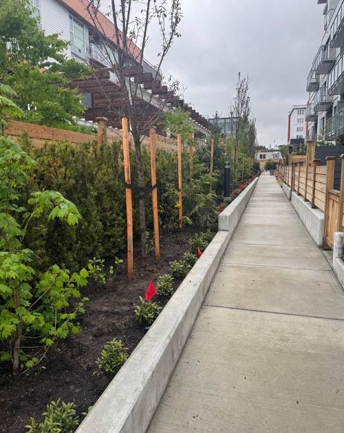 BC Housing - 81 W Cordova St Grange